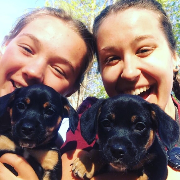 Meet your Posher, Lindsey - Picture 1 of 1